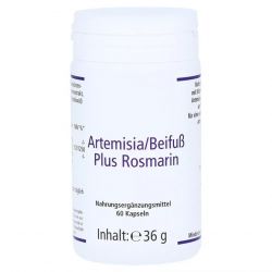 Артемизинин 150 мг капс. 60шт в Нефтекамске и области фото