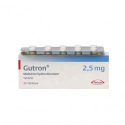 Гутрон таблетки 2,5 мг. №20 в Нефтекамске и области фото